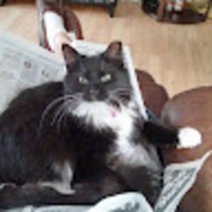 Meet your Posher, Ted